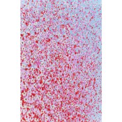 Flower Boat Pembe Mavi Tablo
